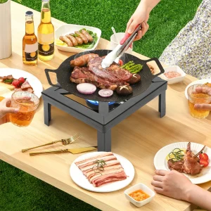 8000W Portable Single Burner Outdoor Gas Stove